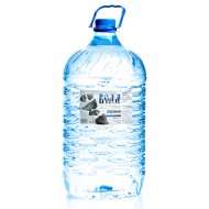 Кремнёвая вода «ВЕДА» 10,0л